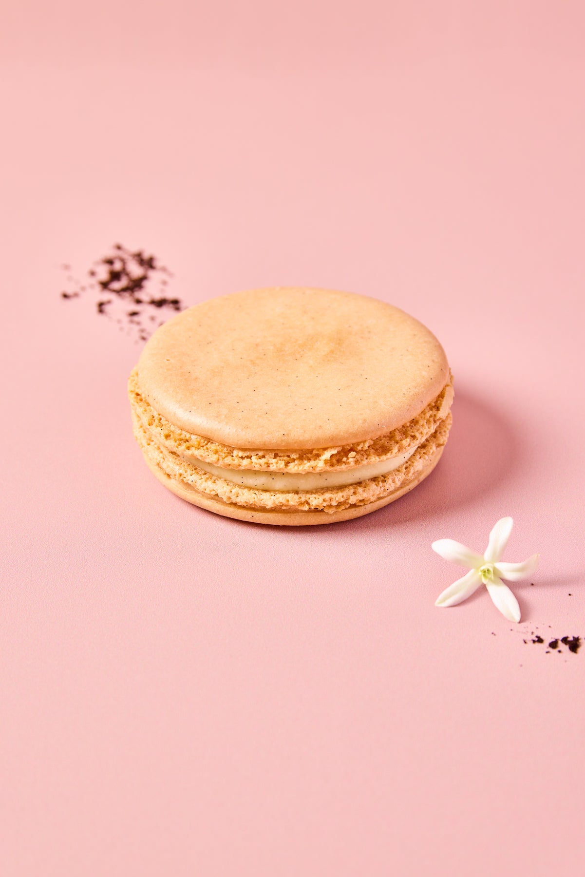 Grand macaron vanille