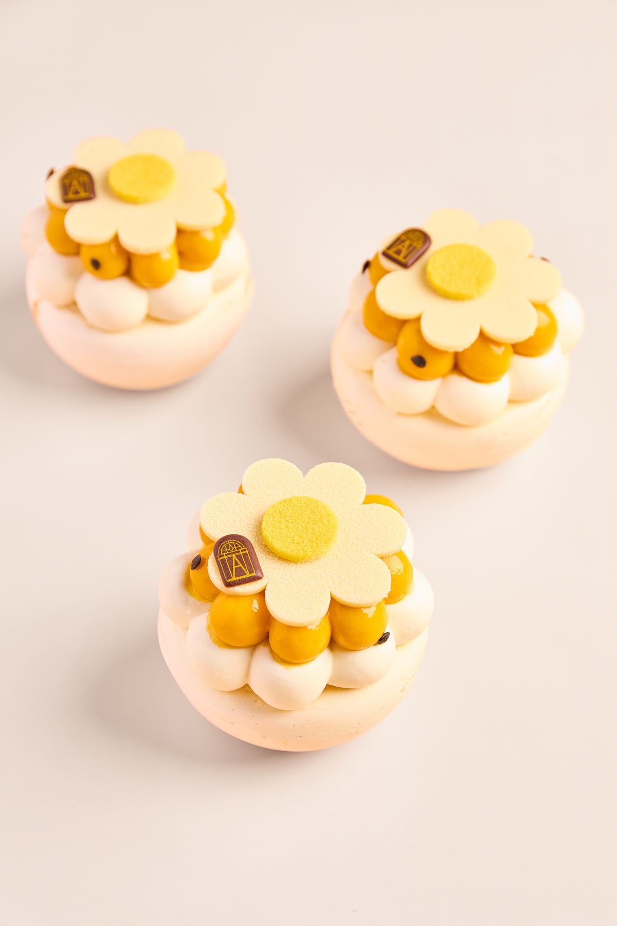 Pavlova mangue pasion