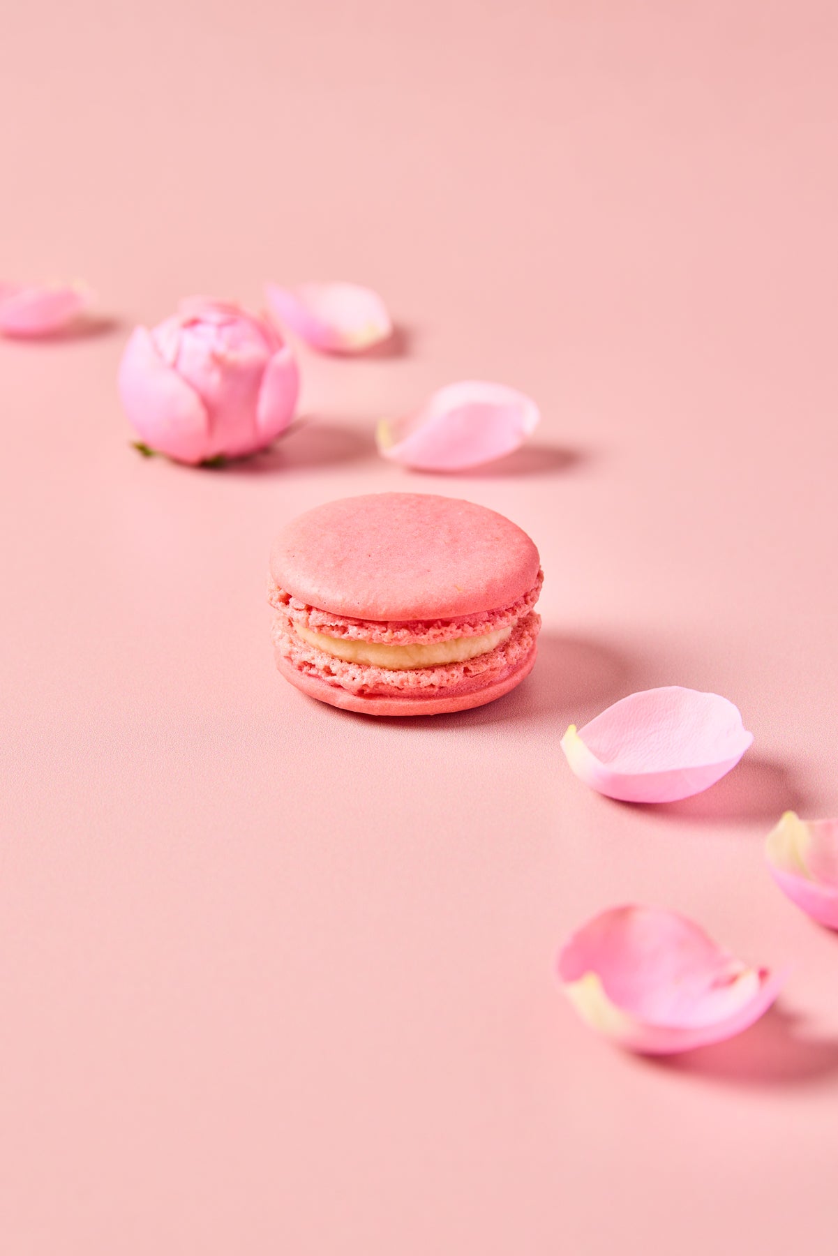 Mini macaron rose