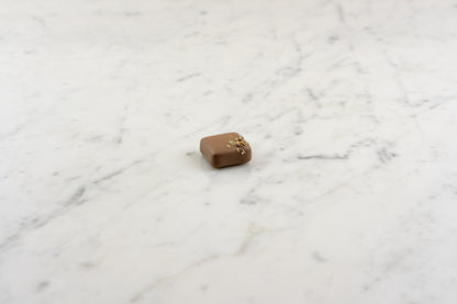 Bonbon chocolat ganache cardamome