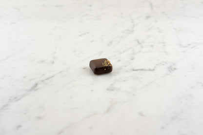 Bonbon chocolat praliné noisette