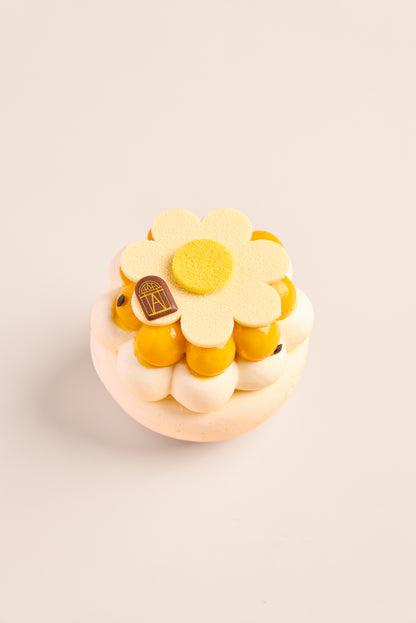 Pavlova mangue pasion