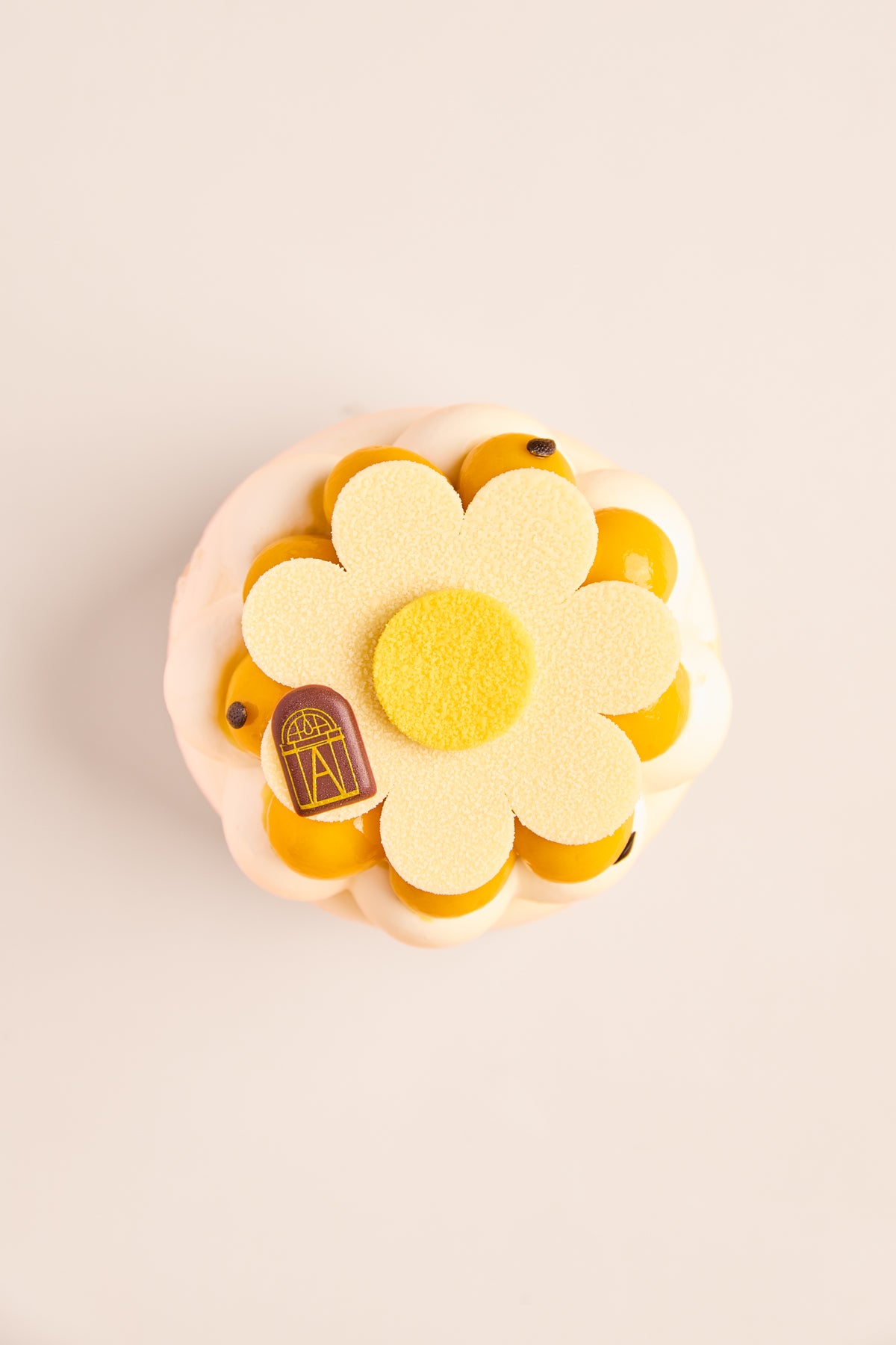 Pavlova mangue pasion