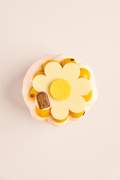 Pavlova mangue pasion