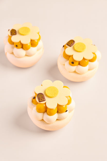 Pavlova mangue pasion