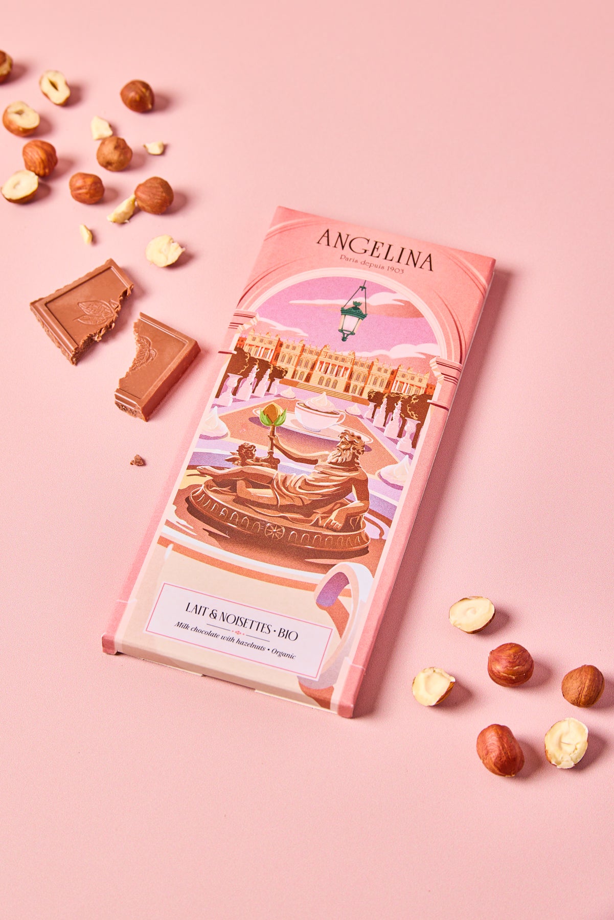 Tablette de Chocolat au Lait & éclats de Noisettes BIO