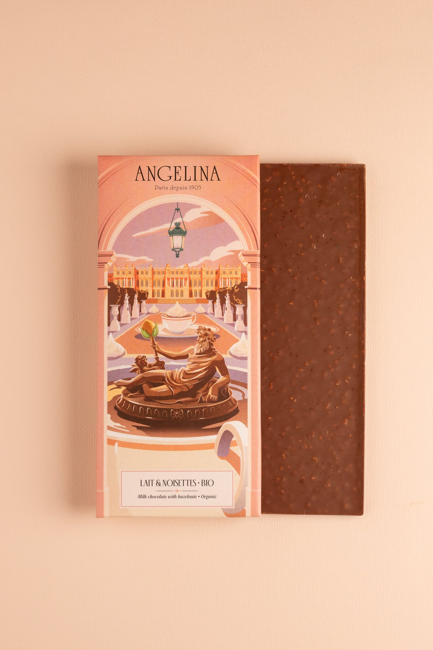 Tablette de Chocolat au Lait & éclats de Noisettes BIO